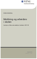 Mobbing og arbeidsro i skolen. Analyse av Elevundersøkelsen skoleåret 2017/18.