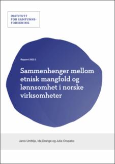 Sammenhenger mellom etnisk mangfold og lønnsomhet i norske virksomheter. 