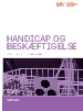 Handicap og beskæftigelse Udviklingen mellem 2002 og 2008