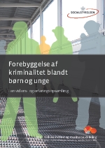 Forebyggelse af kriminalitet blandt børn og unge - en videns- og erfaringsopsamling