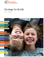 Strategi for Bufdir 2017-2020. 