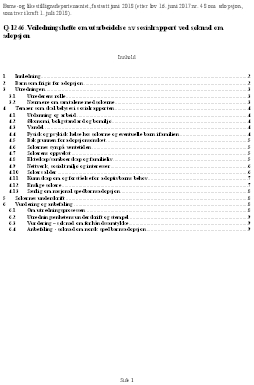 Q-1246.Veiledningshefte om utarbeidelse av sosialrapport ved søknad om adopsjon. Barne- og likestillingsdepartementet, fastsatt juni 2018 (etter lov 16. juni 2017 nr. 48 om adopsjon, som trer i kraft 1. juli 2018).