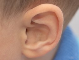 Bildet av øret til et barn.